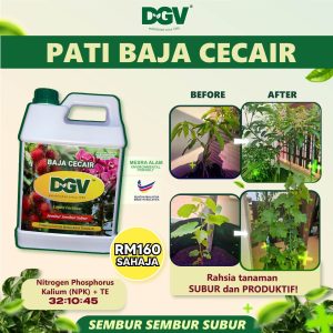PATI BAJA CECAIR (160)