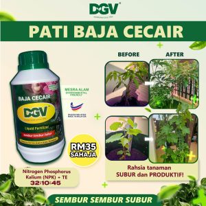 PATI BAJA CECAIR (35)