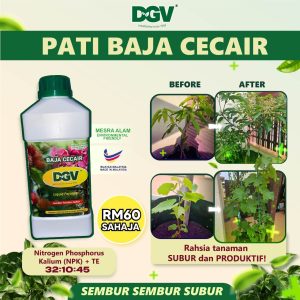 PATI BAJA CECAIR (60)